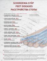 Детские ортопедические стельки Coccine AVIK NR, полная